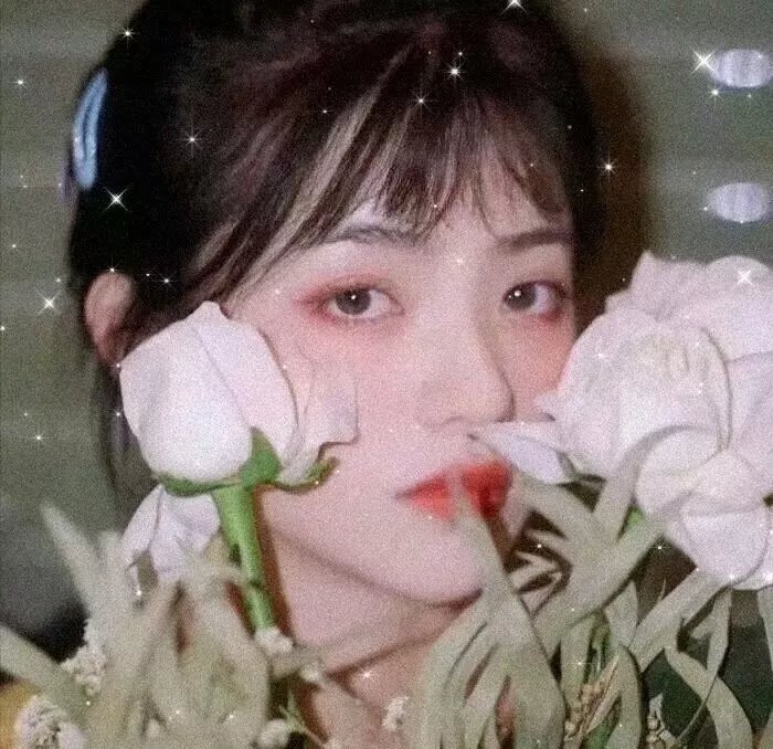 沐羽录
